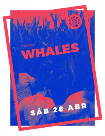 Whales (Stereogun, Leiria)